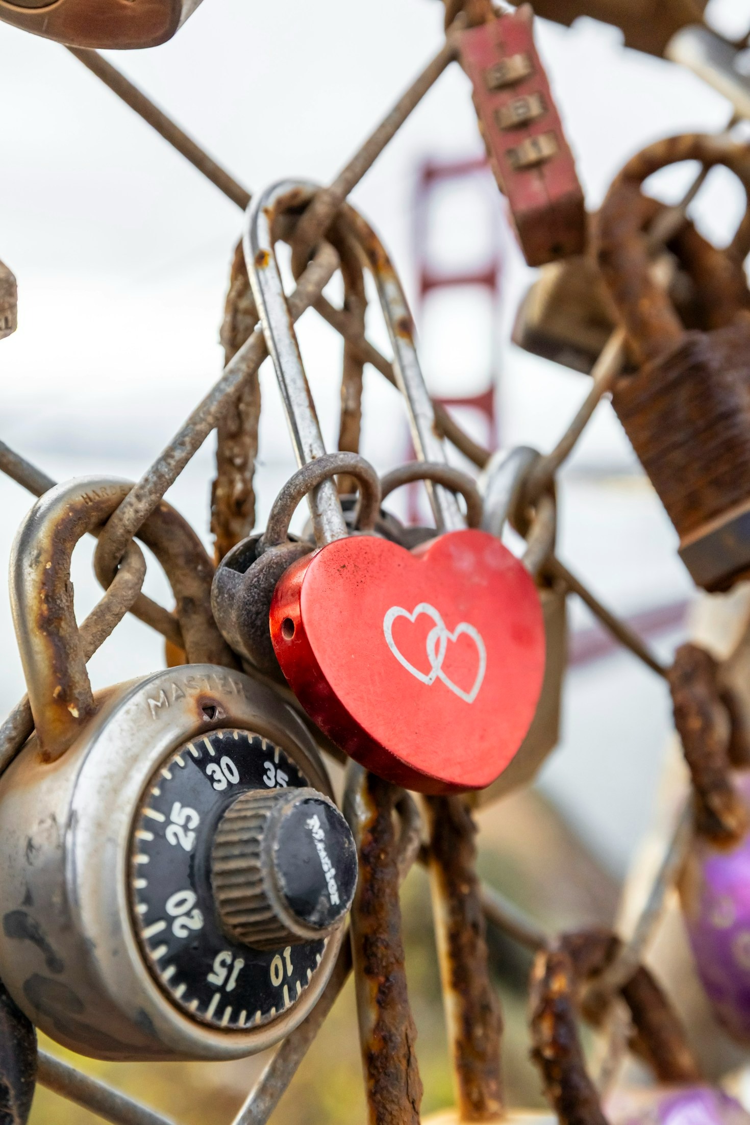 Why It Is Never Too Late For Love